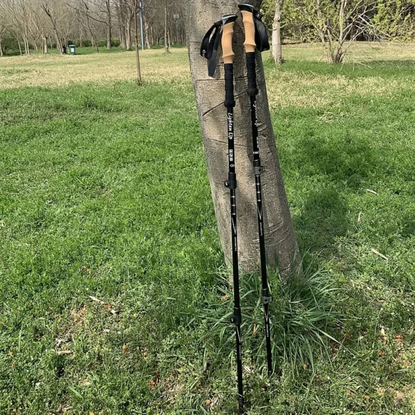Bâtons de Randonnée Télescopiques - Lot de 2 – Image 3