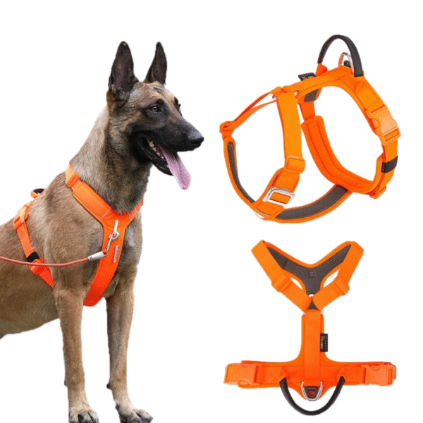 Harnais pour Chien – Léger, Résistant et Réfléchissant