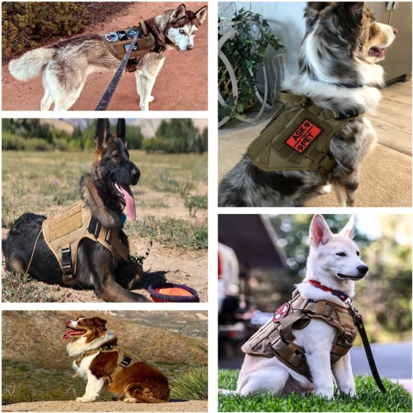Harnais Technique Ultra-Léger (120g) pour Chien – Image 23