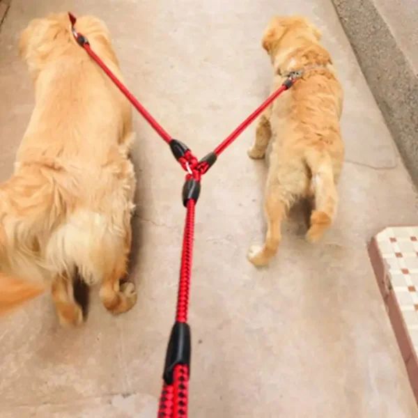 Laisse Double pour Chiens – 1,4m Réglable – Image 6