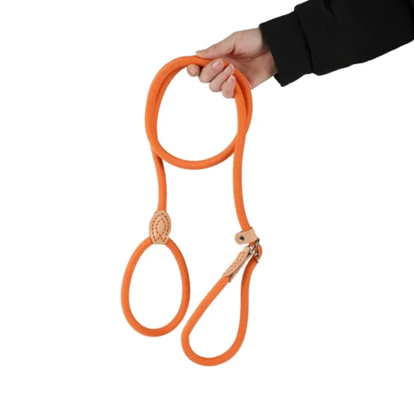 Laisse Réglable pour Chien en Nylon – Image 7