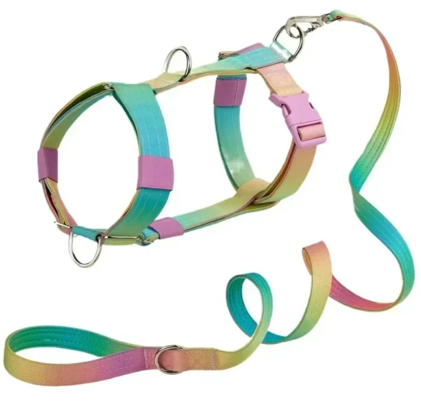 Collier Réfléchissant pour Chien – Image 14