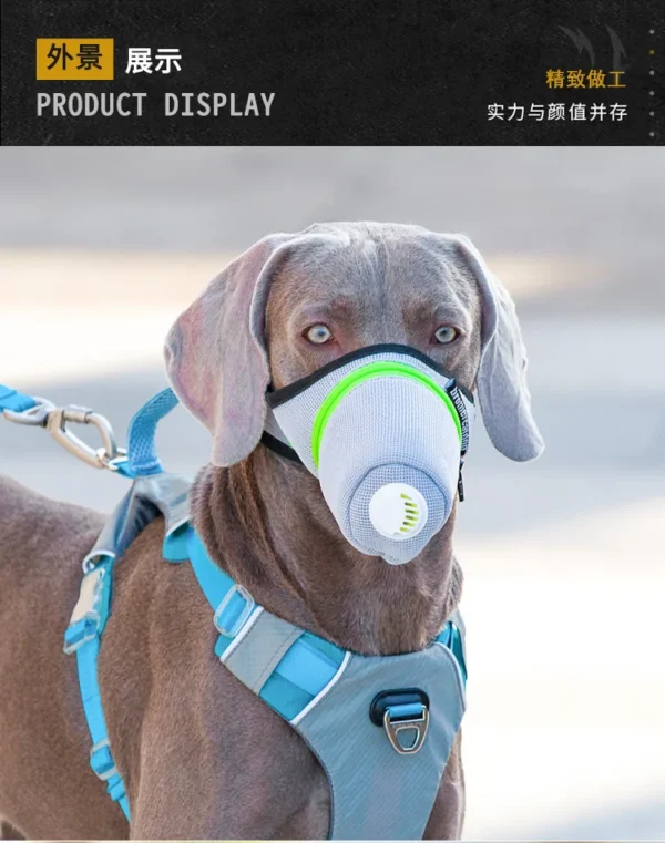 Masque de Protection Respiratoire pour Chien – Image 19