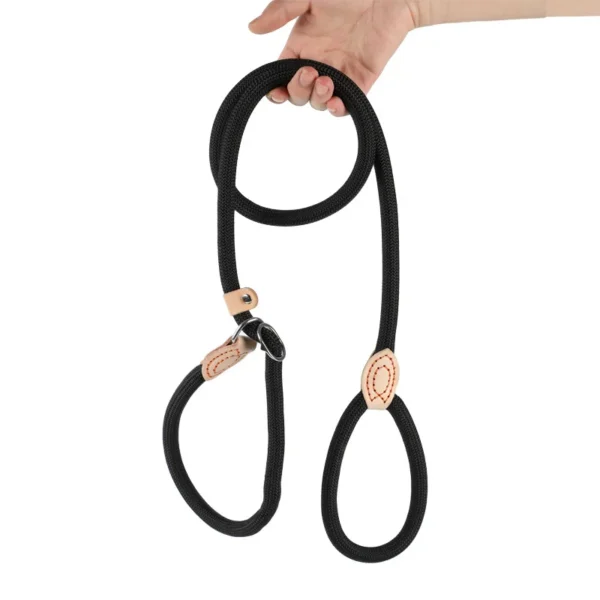 Laisse Réglable pour Chien en Nylon – Image 9