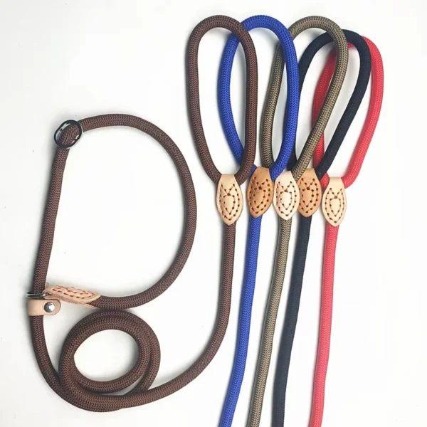 Laisse Réglable pour Chien en Nylon – Image 4
