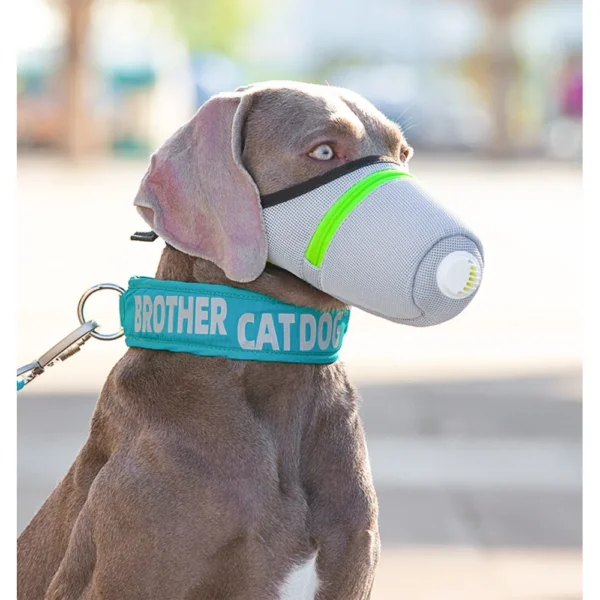 Masque de Protection Respiratoire pour Chien – Image 2