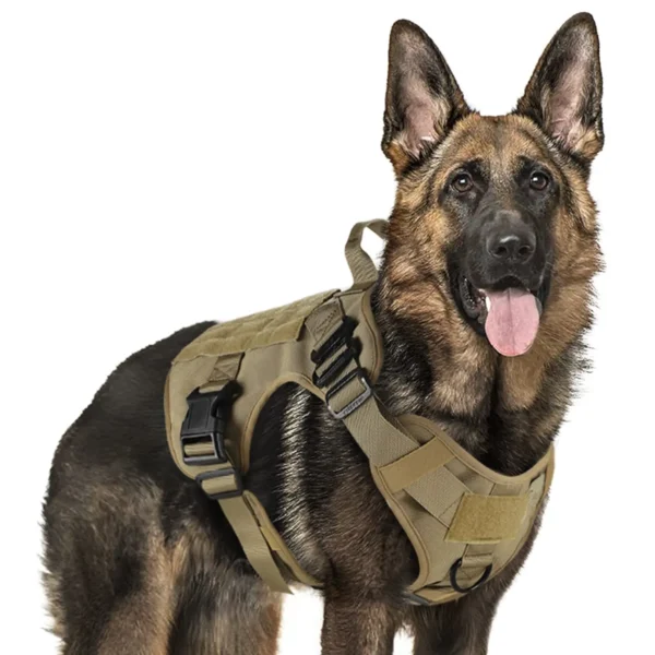 Harnais Technique Ultra-Léger (120g) pour Chien – Image 11