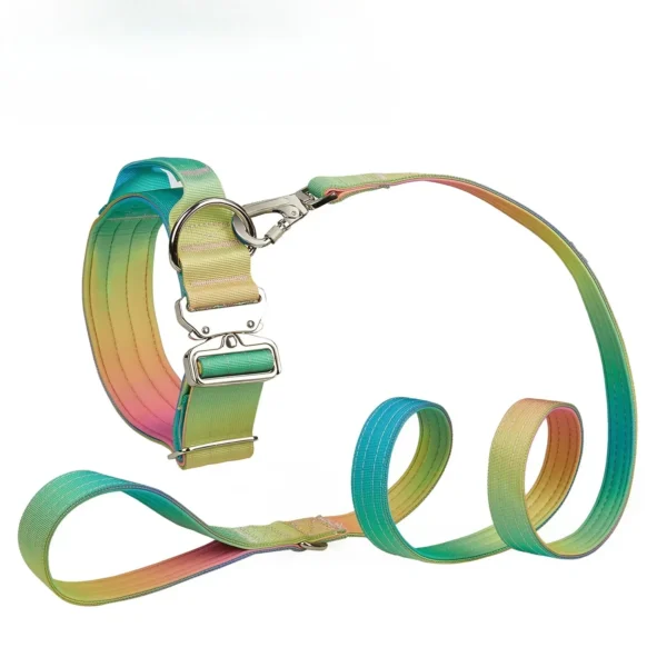 Collier Réfléchissant pour Chien – Image 12