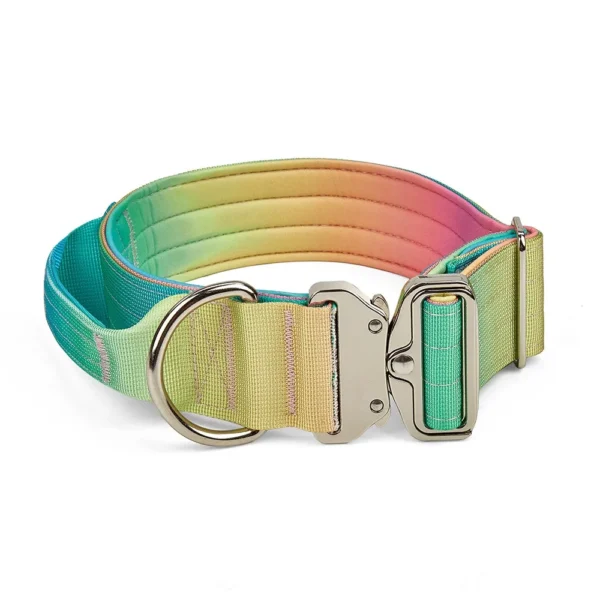 Collier Réfléchissant pour Chien – Image 7
