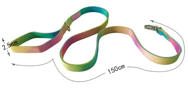 Collier Réfléchissant pour Chien – Image 16