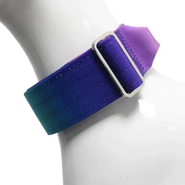 Collier Réfléchissant pour Chien – Image 6