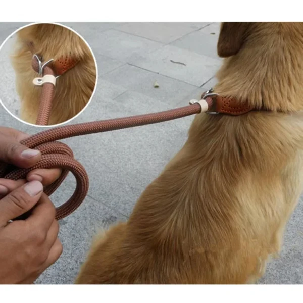 Laisse Réglable pour Chien en Nylon – Image 3