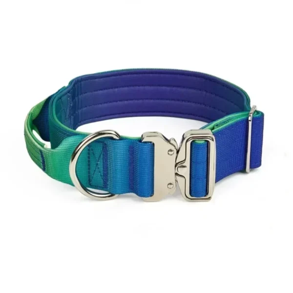 Collier Réfléchissant pour Chien