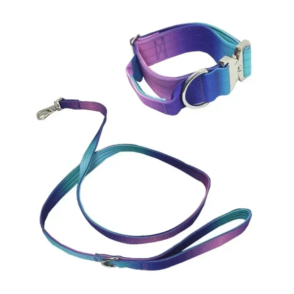 Collier Réfléchissant pour Chien – Image 13