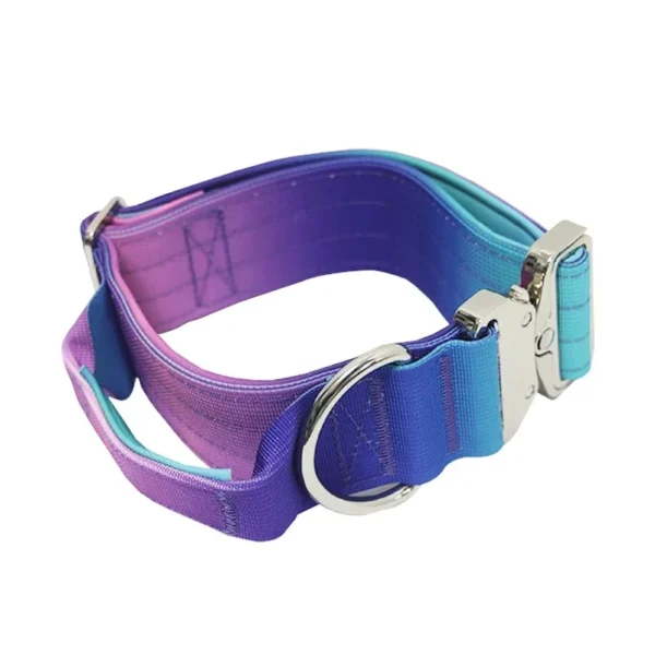 Collier Réfléchissant pour Chien – Image 9