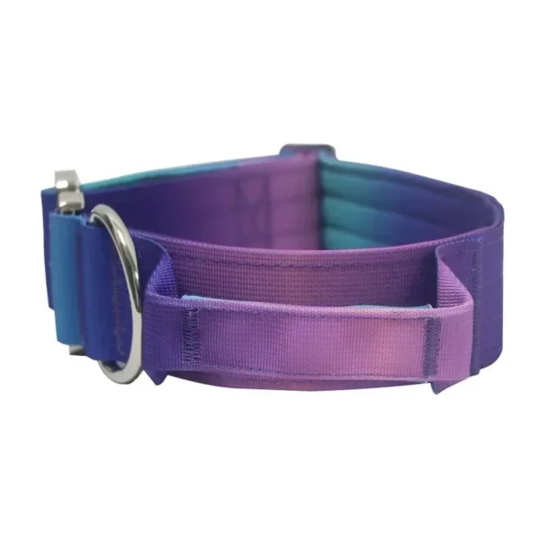 Collier Réfléchissant pour Chien – Image 3
