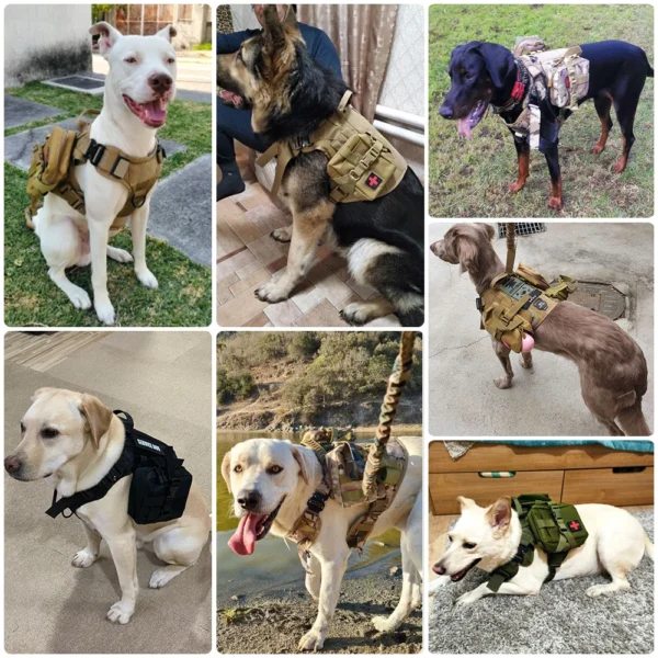 Harnais Technique Ultra-Léger (120g) pour Chien – Image 18