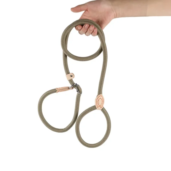 Laisse Réglable pour Chien en Nylon – Image 10