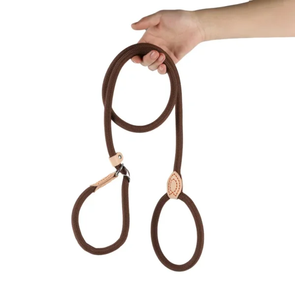 Laisse Réglable pour Chien en Nylon