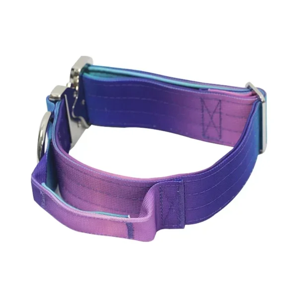 Collier Réfléchissant pour Chien – Image 22