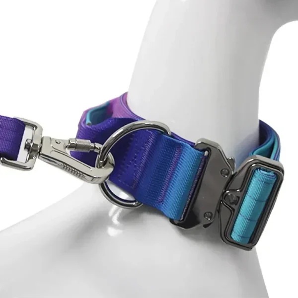 Collier Réfléchissant pour Chien – Image 5