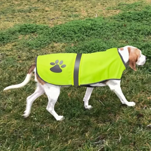 Gilet de Sécurité Réfléchissant pour Chien – Image 2
