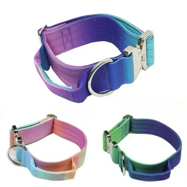 Collier Réfléchissant pour Chien – Image 2