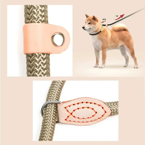 Laisse Réglable pour Chien en Nylon – Image 11