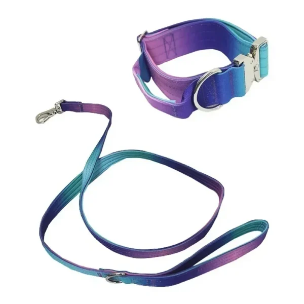 Collier Réfléchissant pour Chien – Image 4