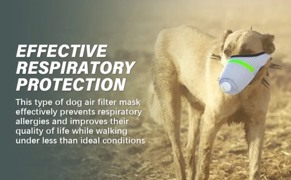 Masque de Protection Respiratoire pour Chien – Image 14