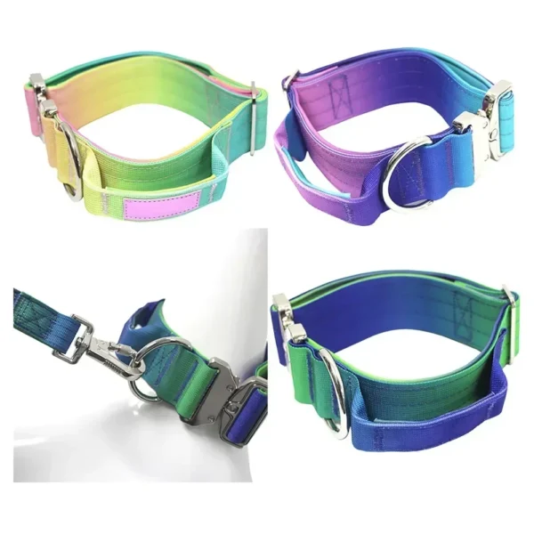 Collier Réfléchissant pour Chien – Image 10