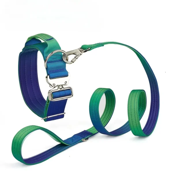 Collier Réfléchissant pour Chien – Image 11