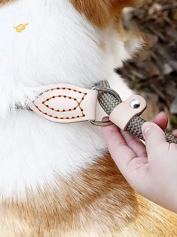 Laisse Réglable pour Chien en Nylon – Image 12
