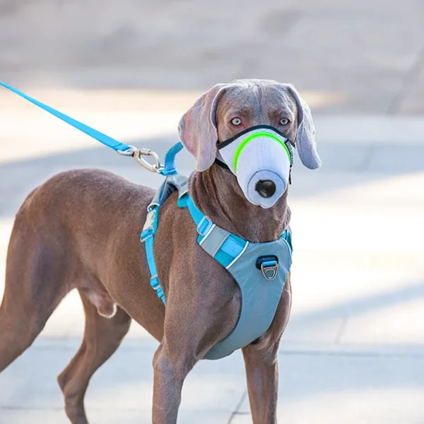 Masque de Protection Respiratoire pour Chien – Image 3
