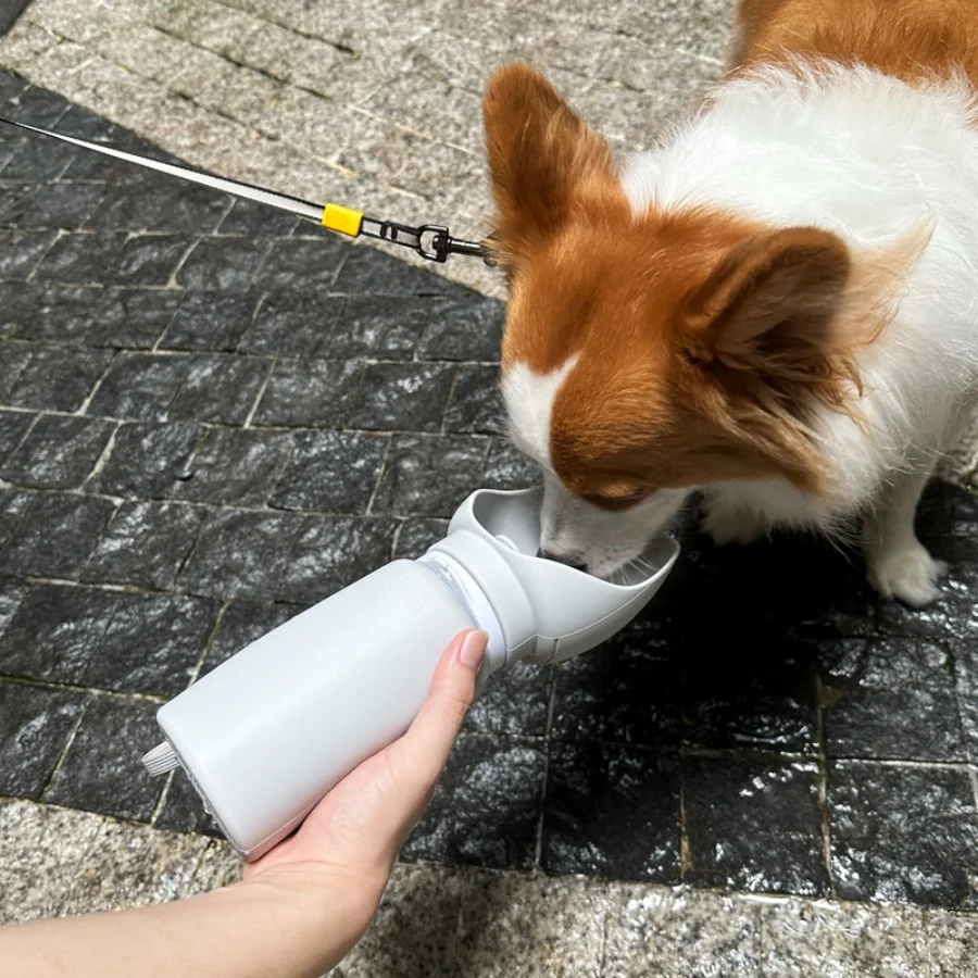 Bouteille pliable chien 500ml – Hydratation propre en extérieur – Image 2